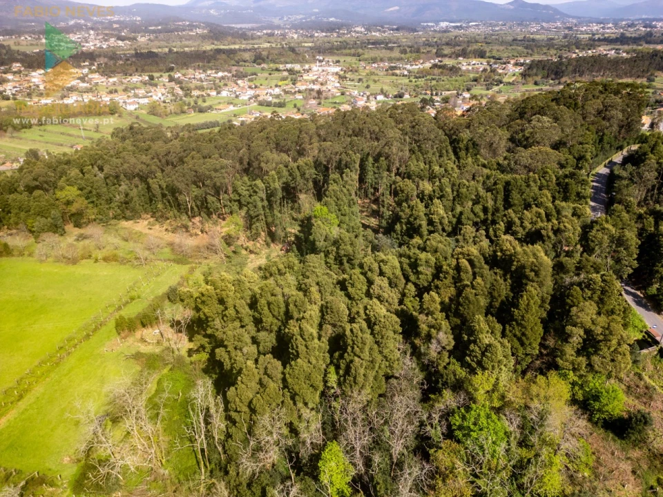 Quinta T8 para Venda em Subportela, Deocriste e Portela Susã Foto 57