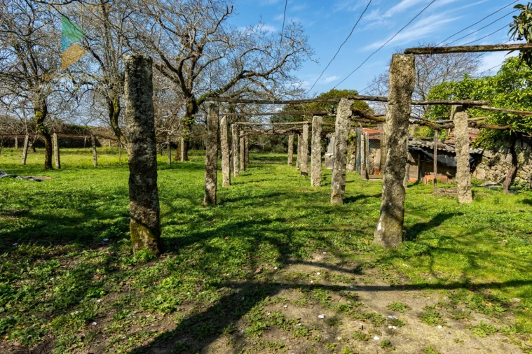 Quinta T8 para Venda em Subportela, Deocriste e Portela Susã Foto 34