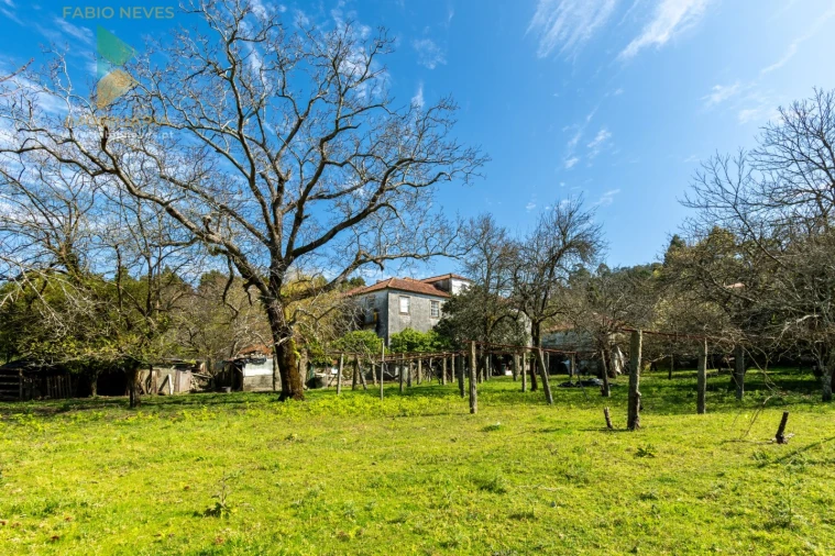 Quinta T8 para Venda em Subportela, Deocriste e Portela Susã Foto 36