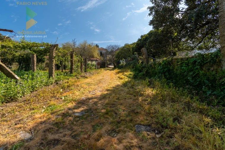 Quinta T8 para Venda em Subportela, Deocriste e Portela Susã Foto 37