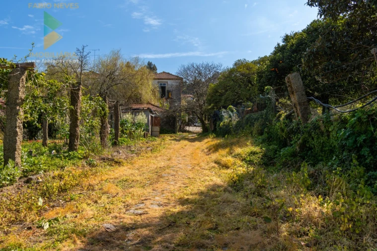 Quinta T8 para Venda em Subportela, Deocriste e Portela Susã Foto 38