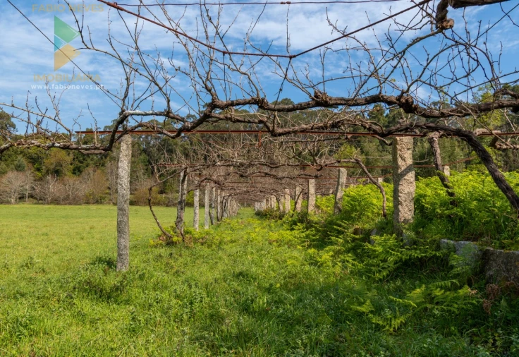 Quinta T8 para Venda em Subportela, Deocriste e Portela Susã Foto 42