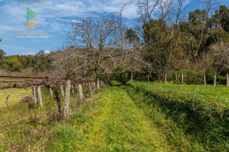 Quinta T8 para Venda em Subportela, Deocriste e Portela Susã Foto 43