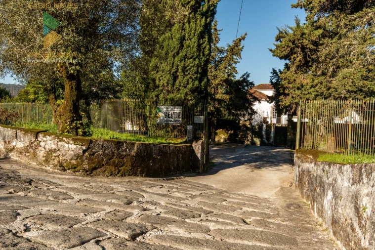 Quinta T8 para Venda em Subportela, Deocriste e Portela Susã Foto 4