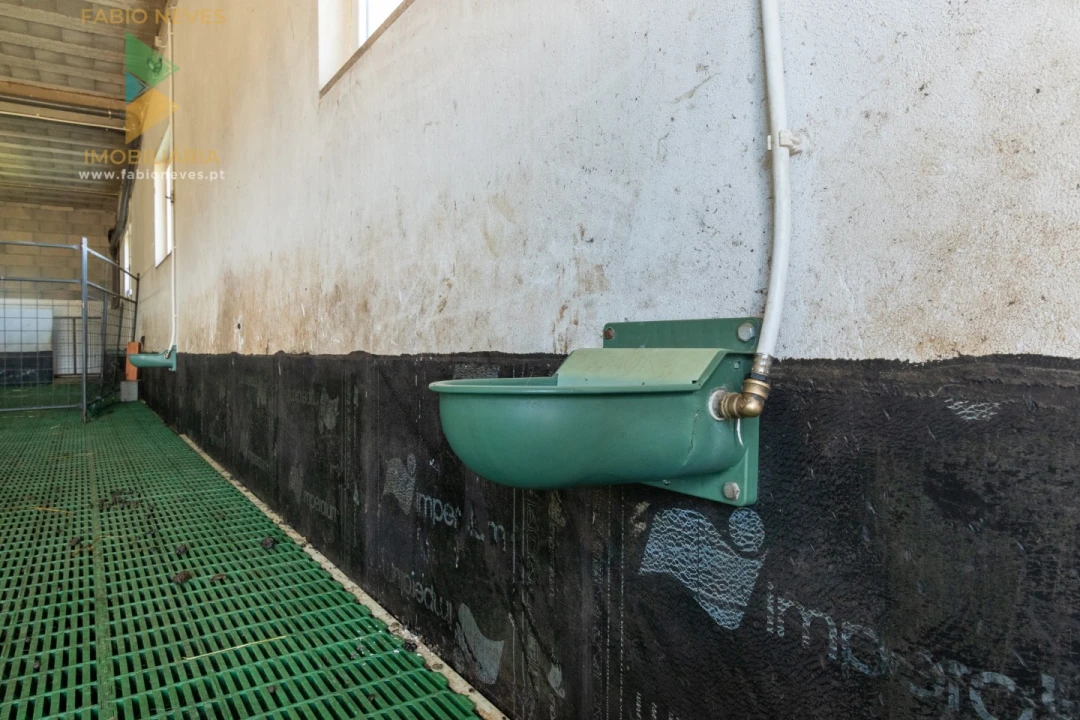 Moradia T10 para Venda em Longroiva Foto 12