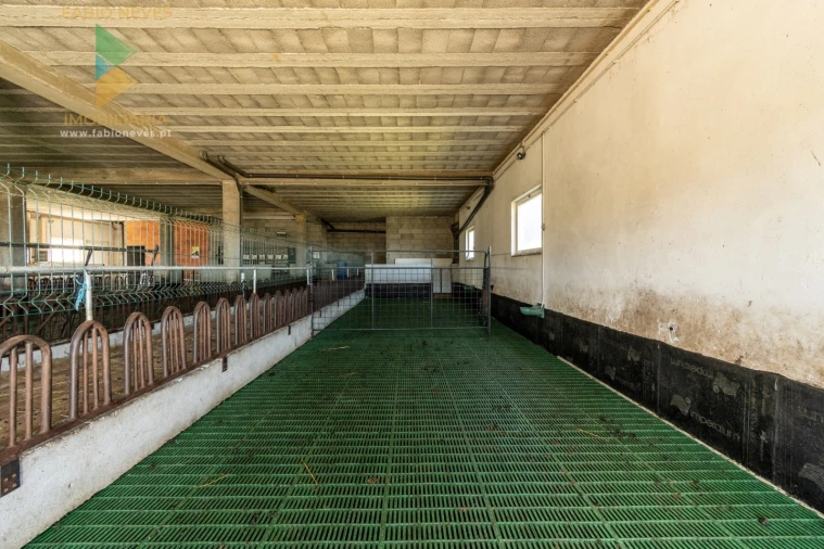 Moradia T10 para Venda em Longroiva Foto 11