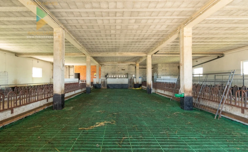 Moradia T10 para Venda em Longroiva Foto 13