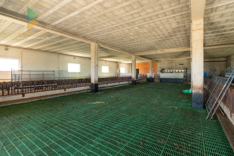 Moradia T10 para Venda em Longroiva Foto 14