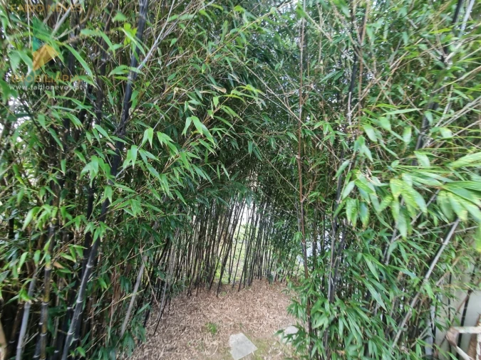 Moradia T5 para Venda em Verdoejo Foto 57