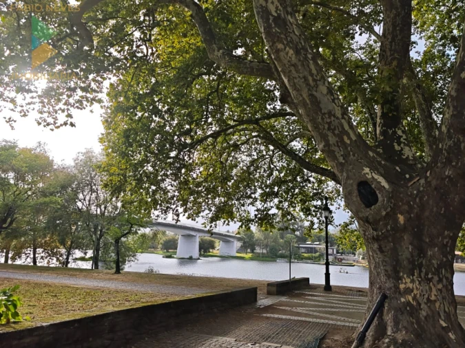 Apartamento T5 para Venda em Arca e Ponte de Lima Foto 31