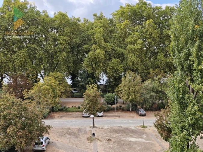 Apartamento T5 para Venda em Arca e Ponte de Lima Foto 34