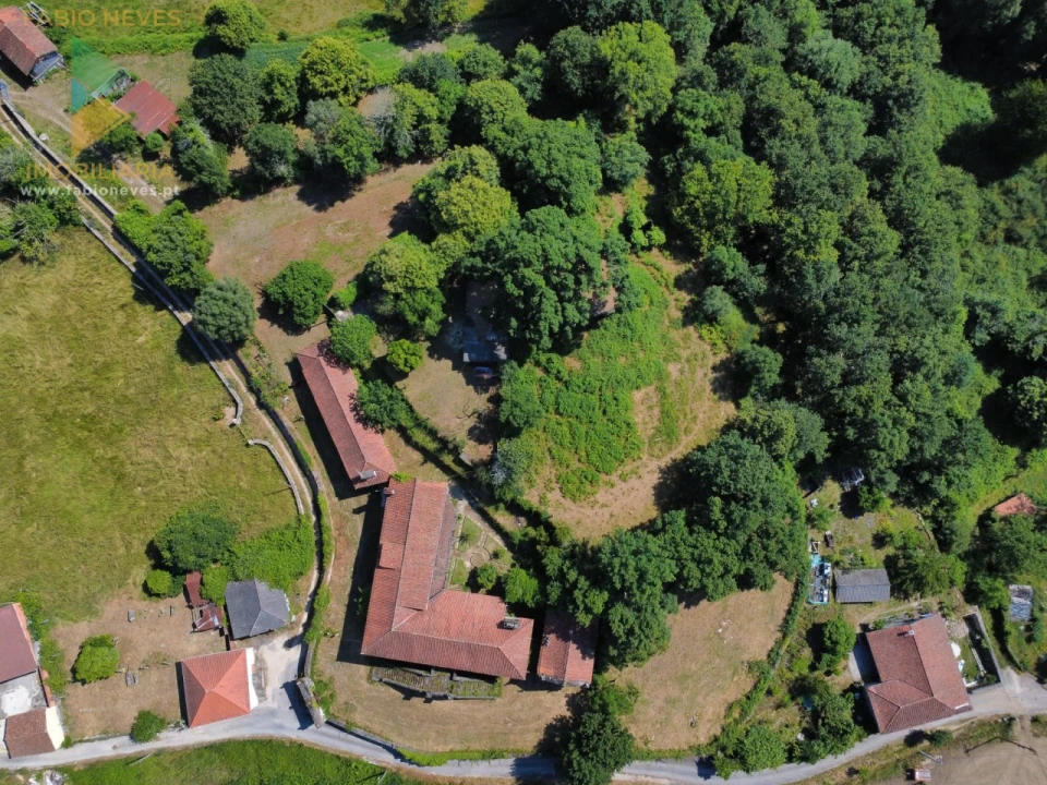 Quinta T9 para Venda em Alvora e Loureda Foto 51