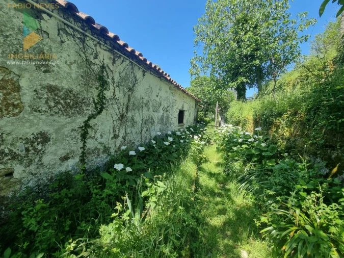 Quinta T9 para Venda em Alvora e Loureda Foto 13