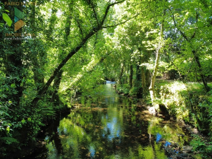 Quinta T9 para Venda em Alvora e Loureda Foto 54