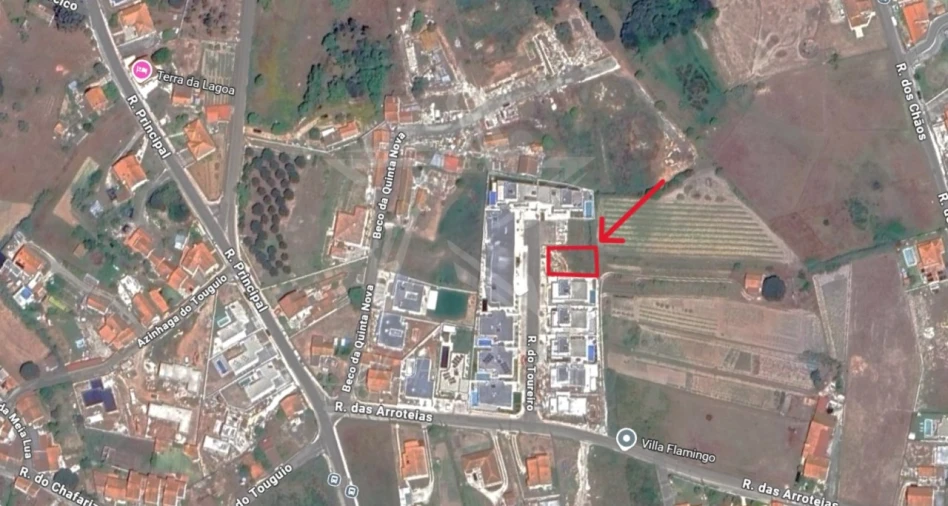 Moradia T3 para Venda em Nadadouro Foto 9