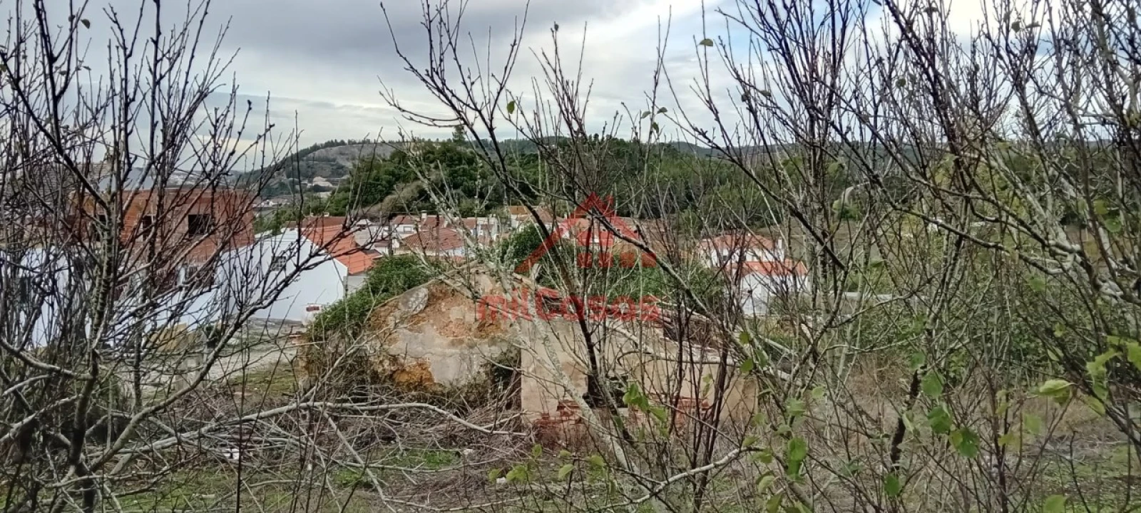 Terreno para Venda em Dois Portos e Runa Foto 12