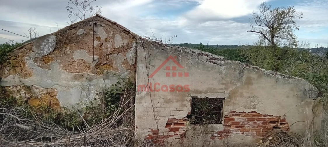 Terreno para Venda em Dois Portos e Runa Foto 16