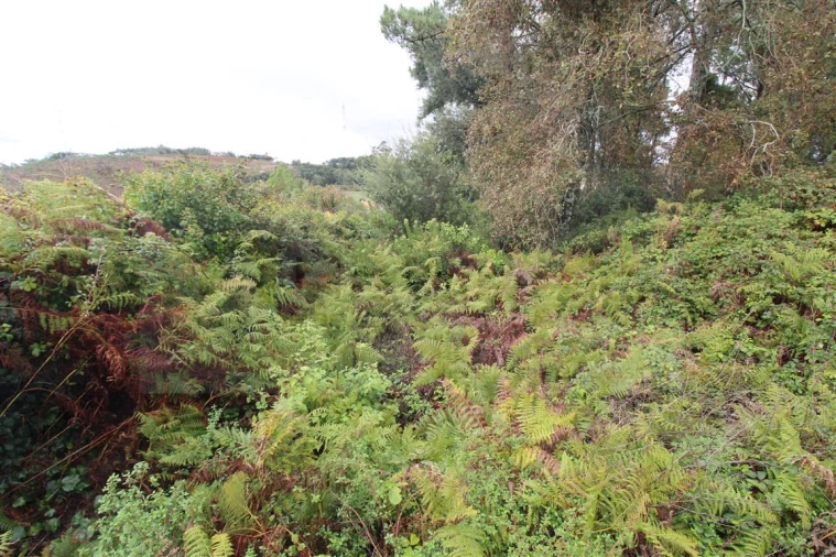 Terreno para Venda em Almargem do Bispo, Pêro Pinheiro e Montelavar Foto 4