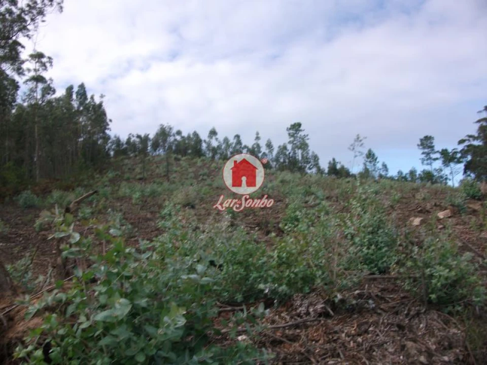 Terreno Agricola ou Rústico para Venda em Malta e Canidelo Foto 1