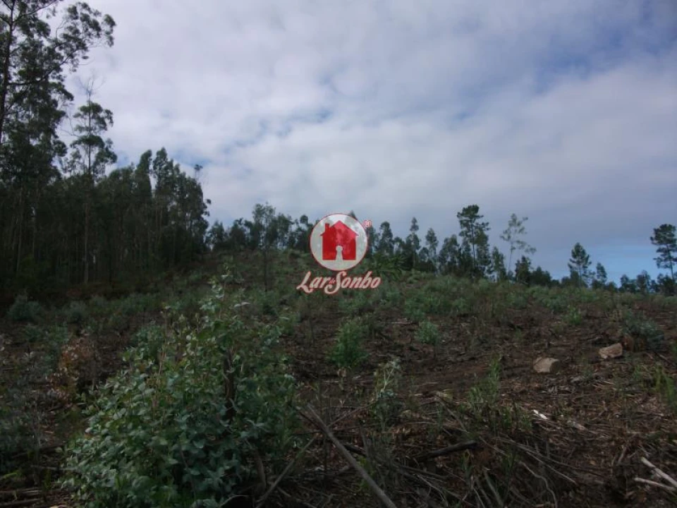 Terreno Agricola ou Rústico para Venda em Malta e Canidelo Foto 3