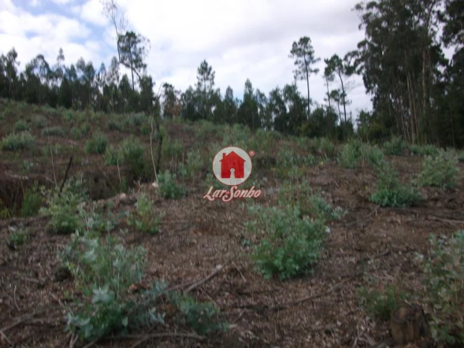 Terreno Agricola ou Rústico para Venda em Malta e Canidelo Foto 5