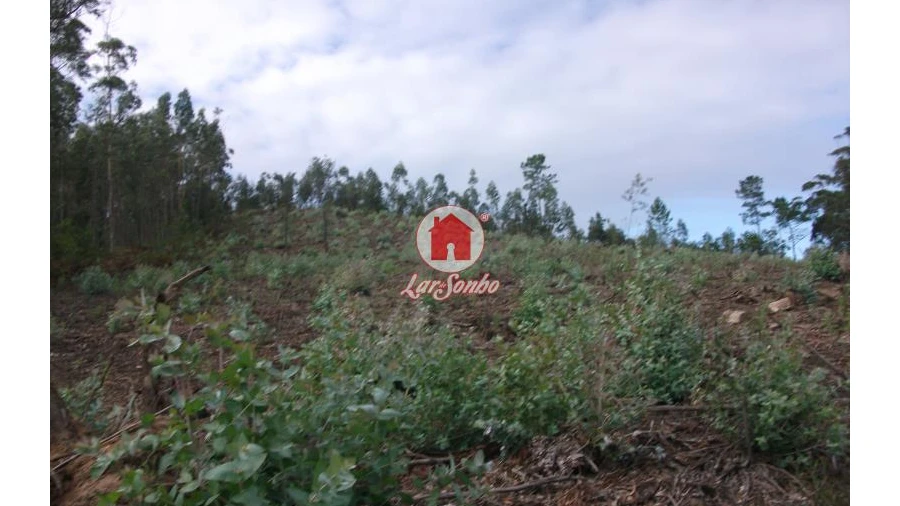 Terreno Agricola ou Rústico para Venda em Malta e Canidelo