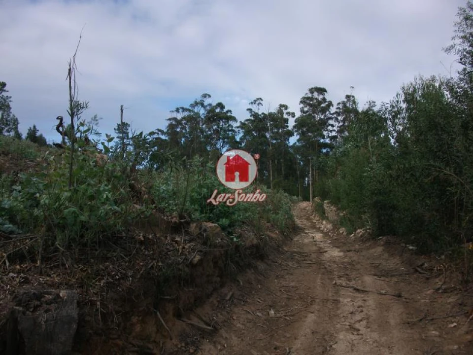 Terreno Agricola ou Rústico para Venda em Malta e Canidelo Foto 1