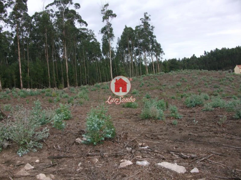 Terreno Agricola ou Rústico para Venda em Malta e Canidelo Foto 5