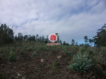 Terreno Agricola ou Rústico para Venda em Malta e Canidelo