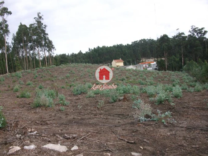 Terreno Agricola ou Rústico para Venda em Malta e Canidelo Foto 4