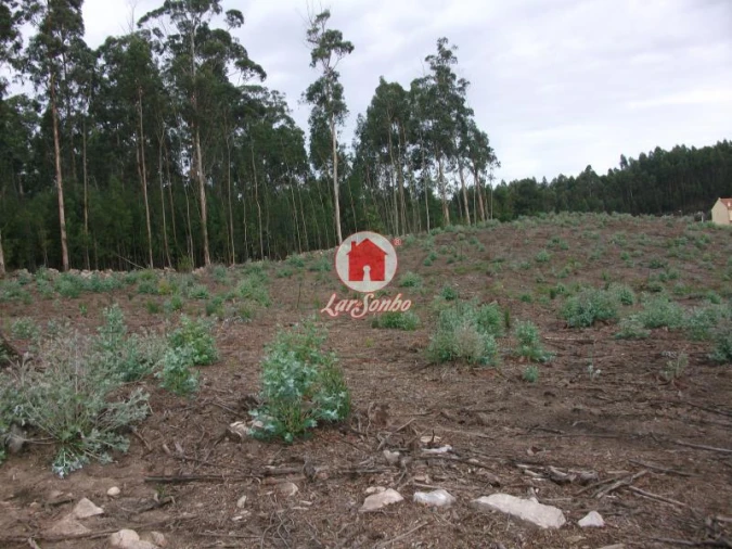 Terreno Agricola ou Rústico para Venda em Malta e Canidelo Foto 5