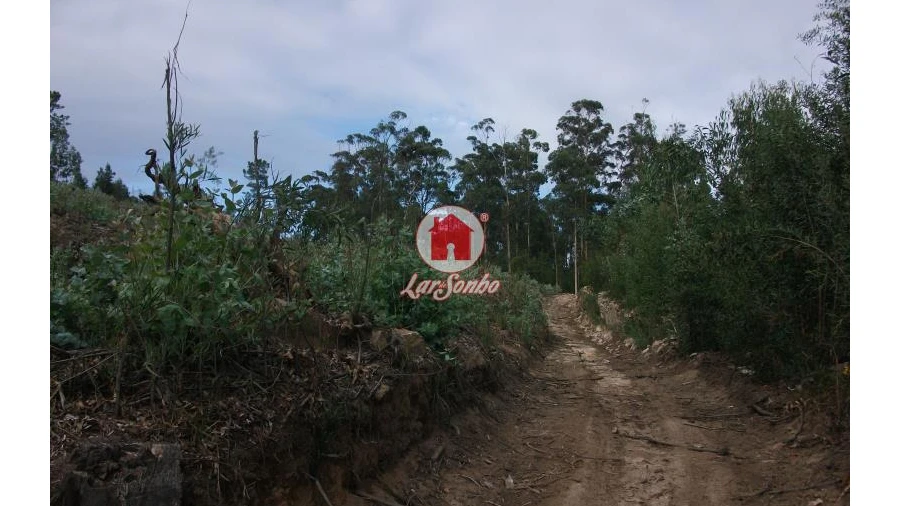 Terreno Agricola ou Rústico para Venda em Malta e Canidelo