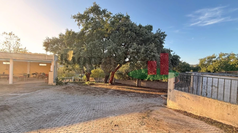 Moradia T3 para Venda em Asseiceira Foto 74