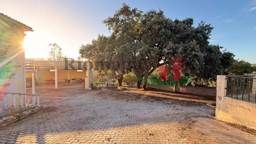 Moradia T3 para Venda em Asseiceira Foto 77