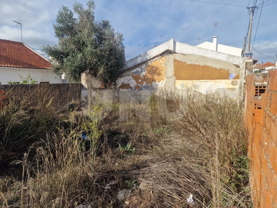 Terreno para Venda em Vila Nova da Baronia Foto 12