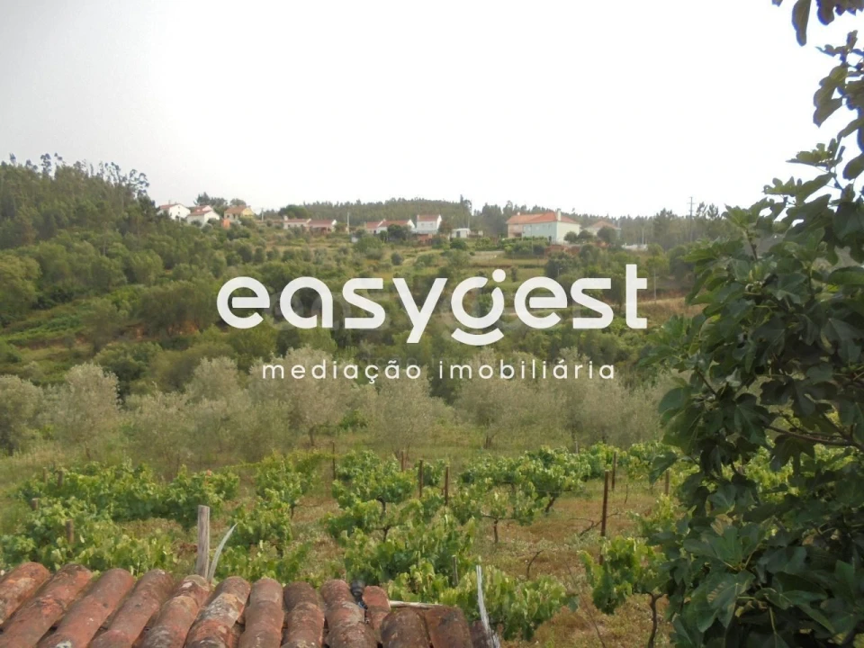 Moradia T2 para Venda em Aldeia do Mato e Souto Foto 3