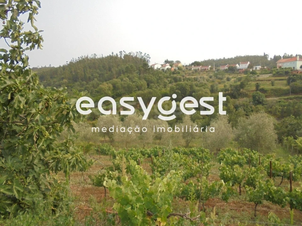 Moradia T2 para Venda em Aldeia do Mato e Souto Foto 5