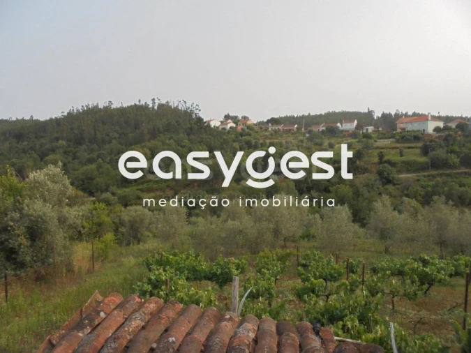 Moradia T2 para Venda em Aldeia do Mato e Souto Foto 2