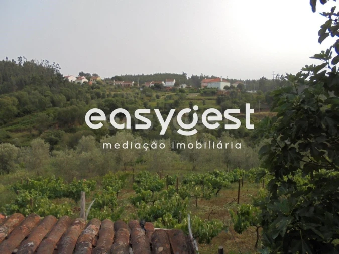 Moradia T2 para Venda em Aldeia do Mato e Souto Foto 4