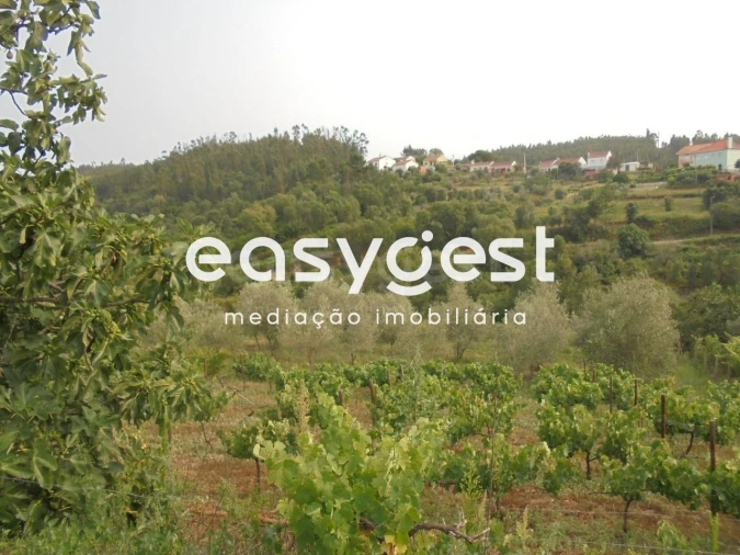 Moradia T2 para Venda em Aldeia do Mato e Souto Foto 5