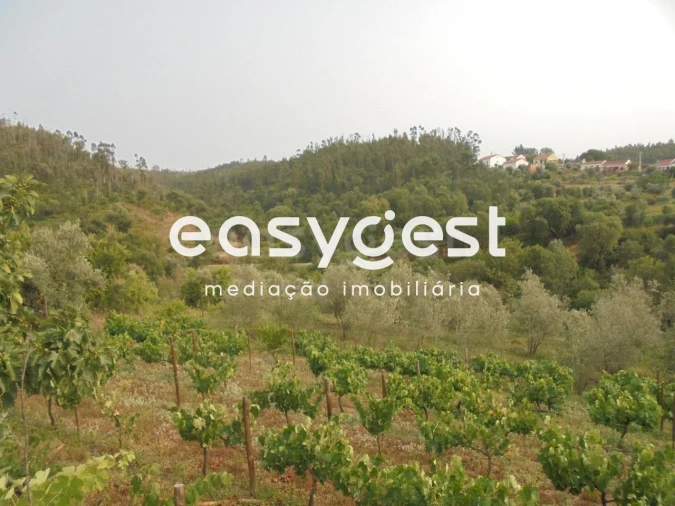 Moradia T2 para Venda em Aldeia do Mato e Souto Foto 9