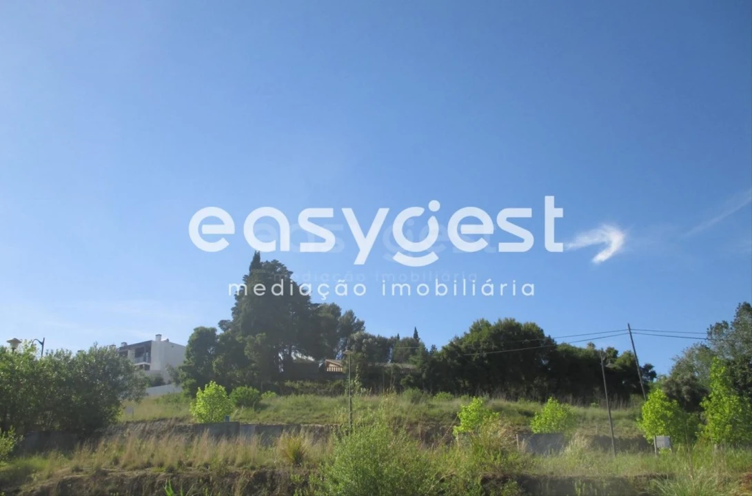 Terreno para Venda em São João Baptista e Santa Maria dos Olivais Foto 3