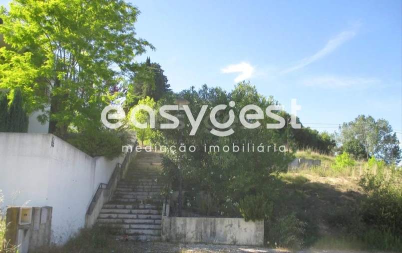 Terreno para Venda em São João Baptista e Santa Maria dos Olivais Foto 5