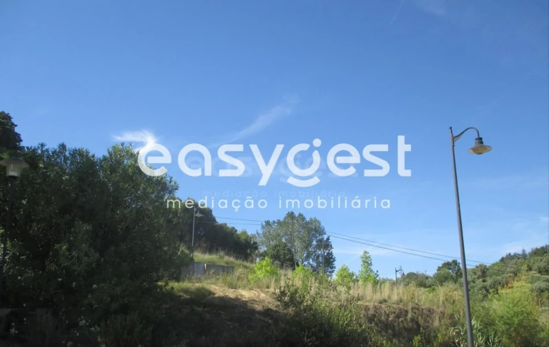 Terreno para Venda em São João Baptista e Santa Maria dos Olivais Foto 6