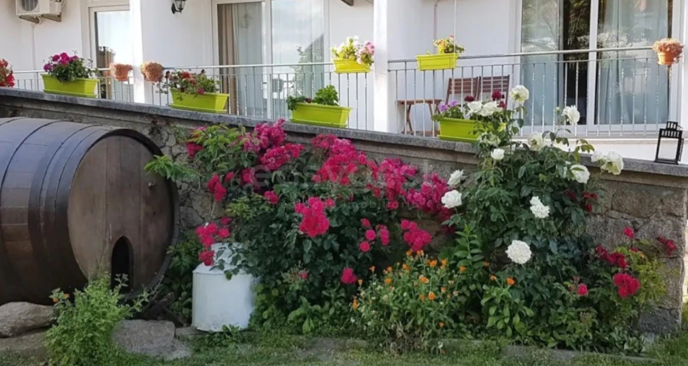 Quinta T11 para Venda em Bemposta Foto 35