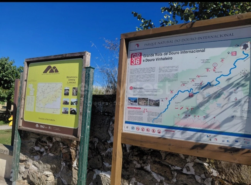 Quinta T11 para Venda em Bemposta Foto 56