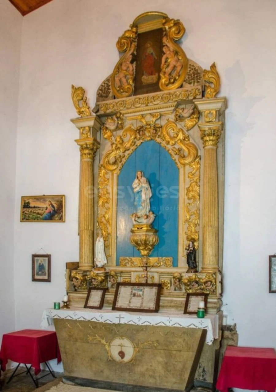 Quinta T11 para Venda em Bemposta Foto 4