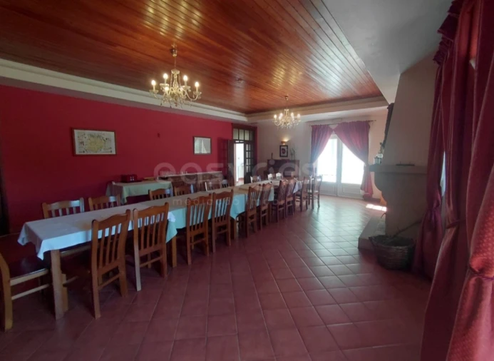 Quinta T11 para Venda em Bemposta Foto 11