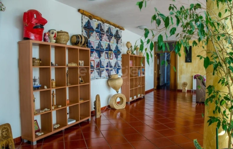 Quinta T11 para Venda em Bemposta Foto 15