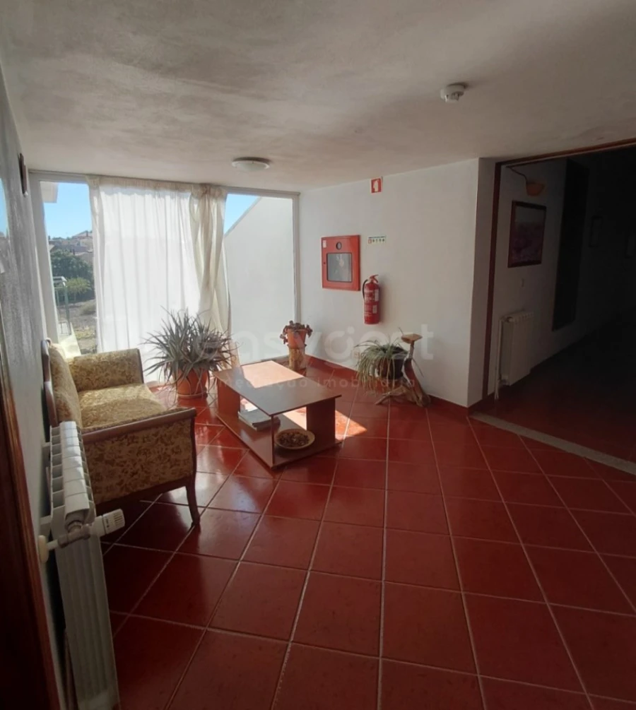 Quinta T11 para Venda em Bemposta Foto 33